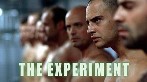 The Experiment still