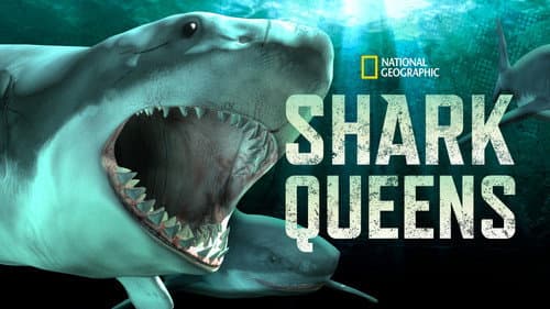 Shark Queens still