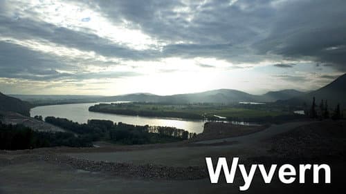 Wyvern still