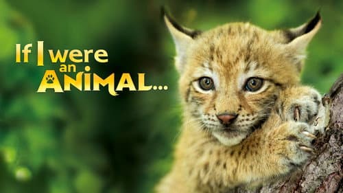 If I Were an Animal still