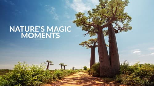 Nature's Magic Moments still