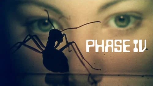 Phase IV still
