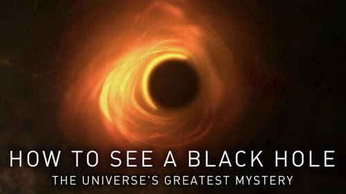 How to See a Black Hole: The Universe's Greatest Mystery still