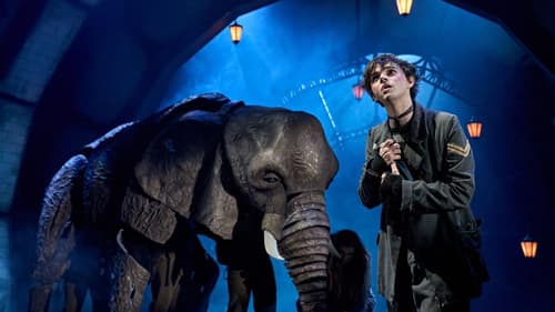 The Magician's Elephant still