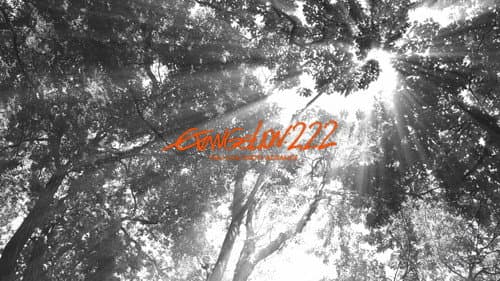 Evangelion: 2.0 You Can (Not) Advance still