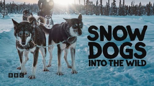 Snow Dogs: Into the Wild still