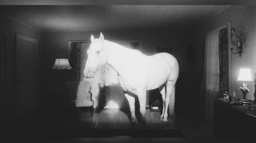 Twin Peaks still
