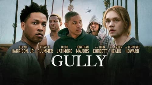 Gully still