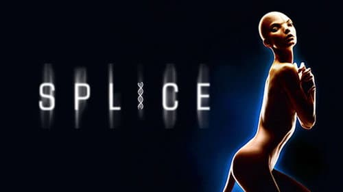 Splice still