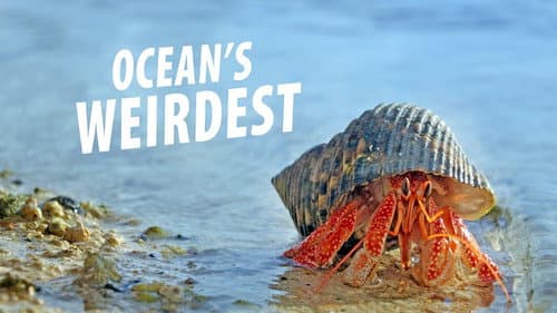 Ocean's Weirdest still