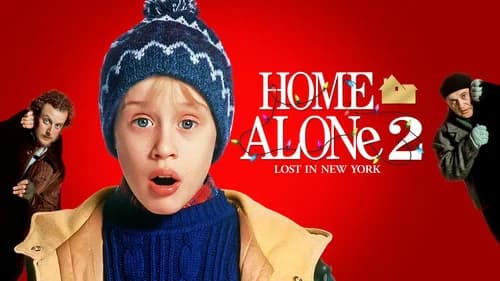 Home Alone 2: Lost in New York still