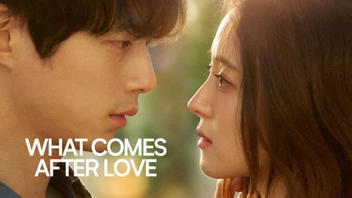 What Comes After Love still