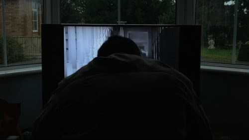 Pigs still