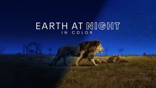 Earth at Night in Colour still