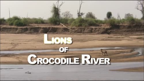 Lions of Crocodile River still