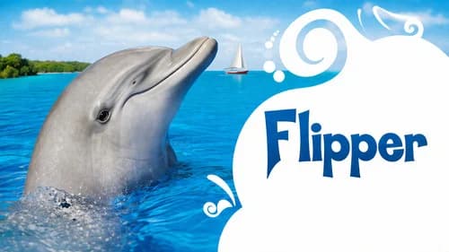 Flipper still