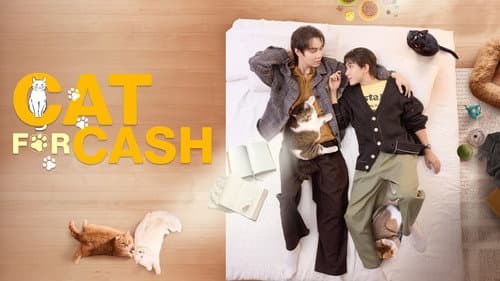 Cat for Cash still