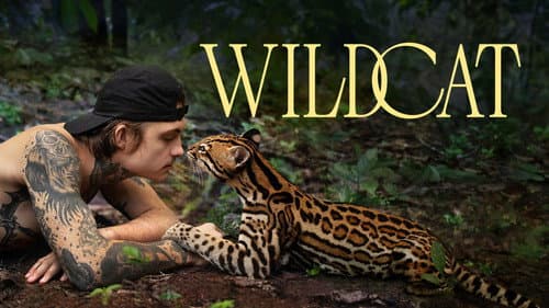 Wildcat still