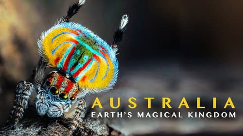 Magical Land of Oz still