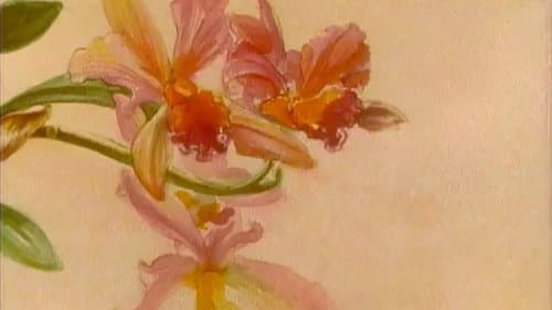 The Orchid House still