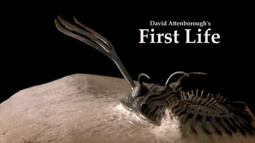 First Life still