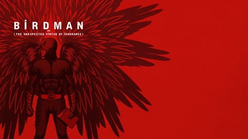 Birdman or (The Unexpected Virtue of Ignorance) still