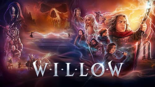 Willow still