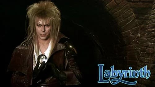 Labyrinth still