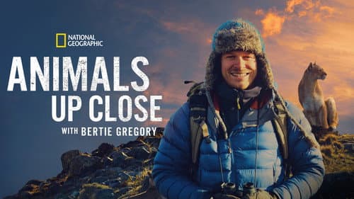 Animals Up Close with Bertie Gregory still