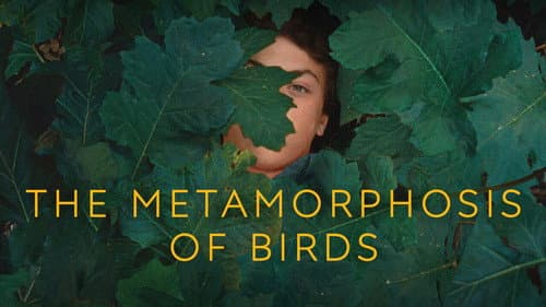 The Metamorphosis of Birds still