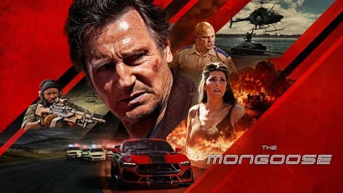 The Mongoose still