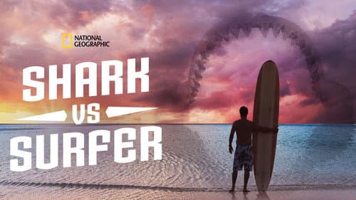 Shark vs. Surfer still