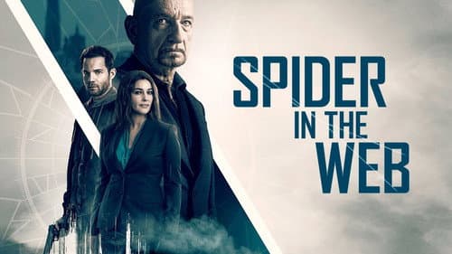 Spider in the Web still