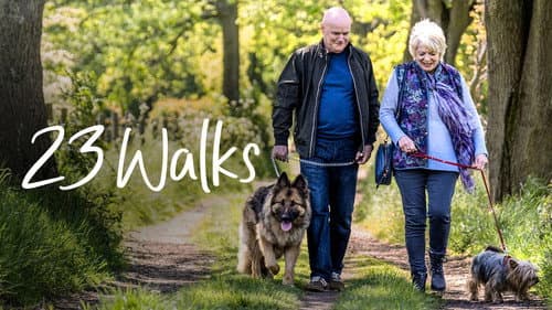 23 Walks still
