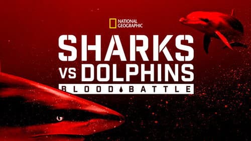 Sharks vs. Dolphins: Blood Battle still