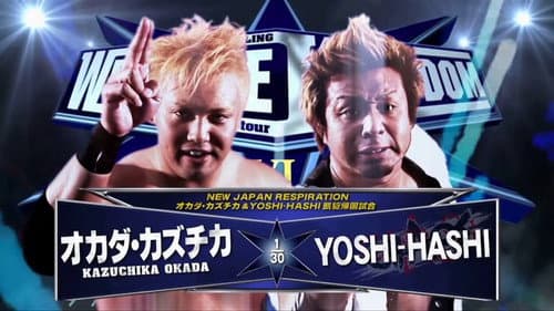 NJPW Wrestle Kingdom 6 still
