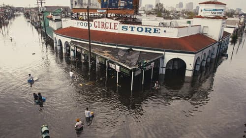 Katrina Babies still