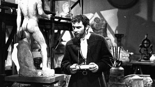 Vita di Michelangelo still