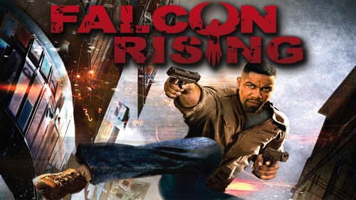 Falcon Rising still