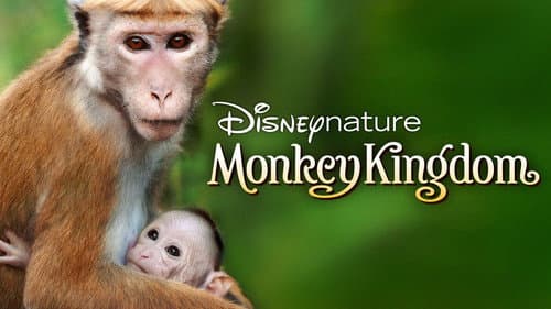 Monkey Kingdom still