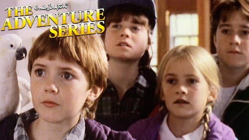 The Enid Blyton Adventure Series still