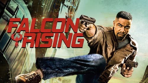 Falcon Rising still
