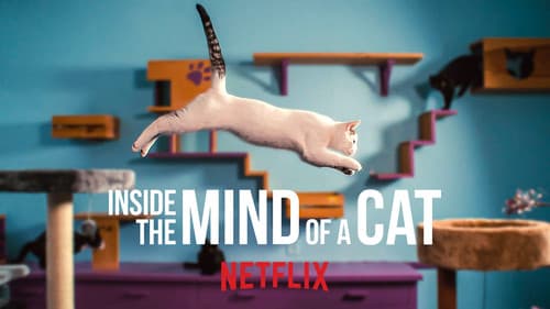 Inside the Mind of a Cat still