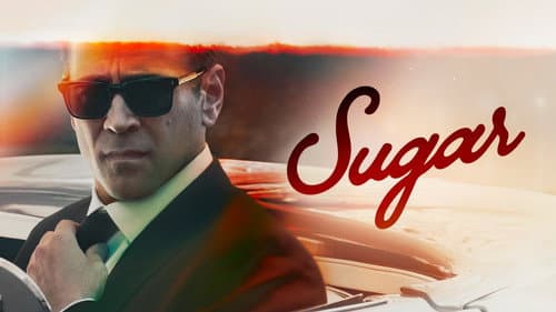 Sugar still
