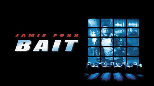 Bait still