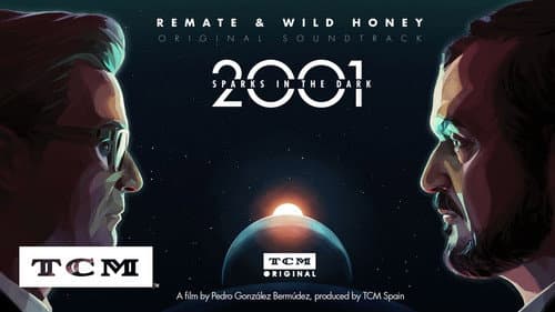 2001: Sparks in the Dark still