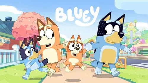 Bluey still
