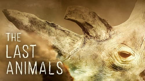 The Last Animals still