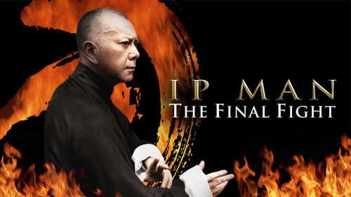 Ip Man: The Final Fight still