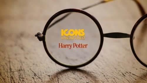 Icons Unearthed: Harry Potter still